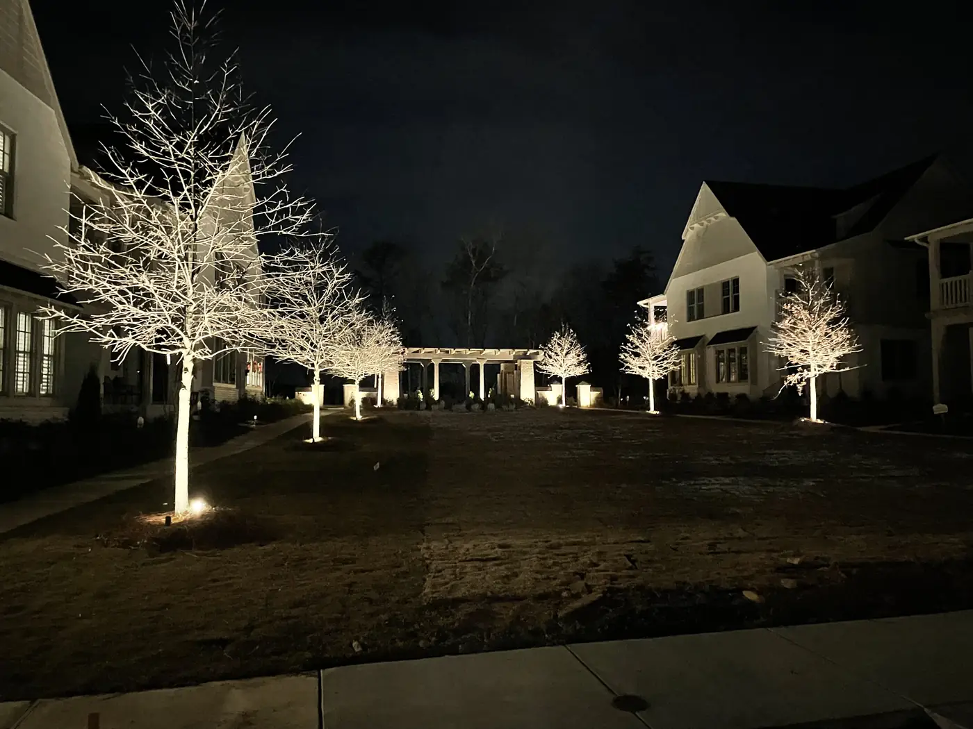 Tree uplighting driveway night Birmingham Alabama