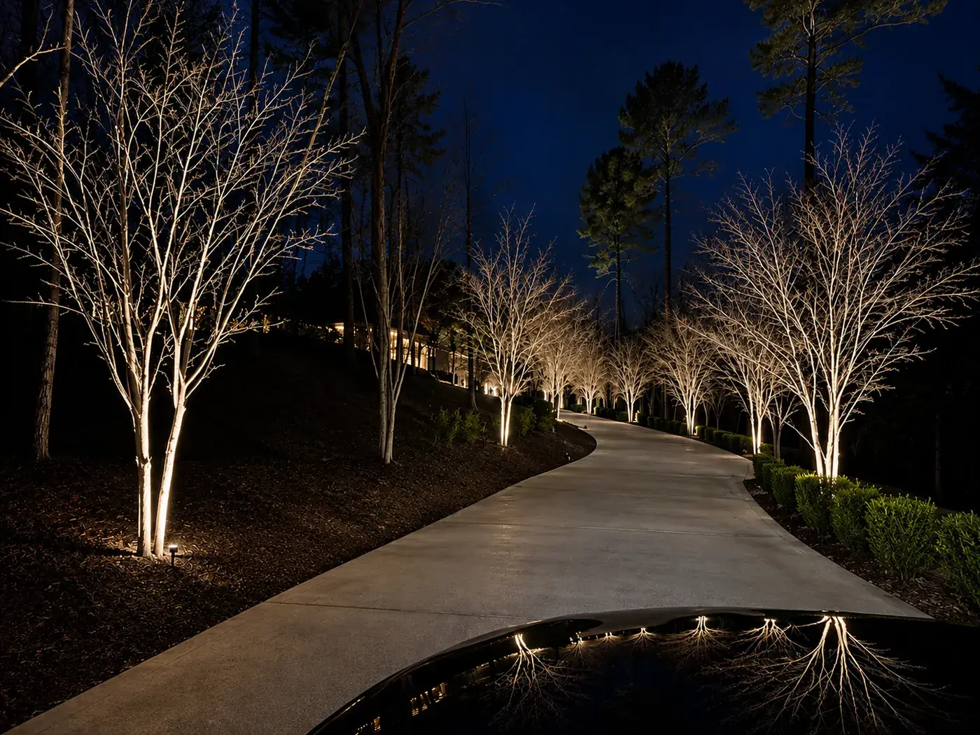 Tree lined driveway uplighting Greater Birmingham Alabama